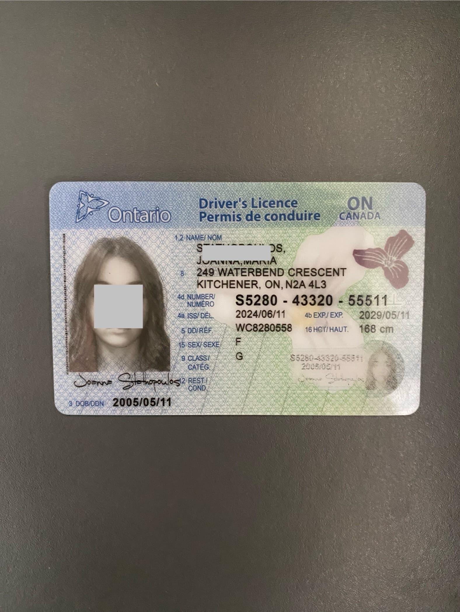CANADA ONTARIO PREMIUM *+$100 CAD*