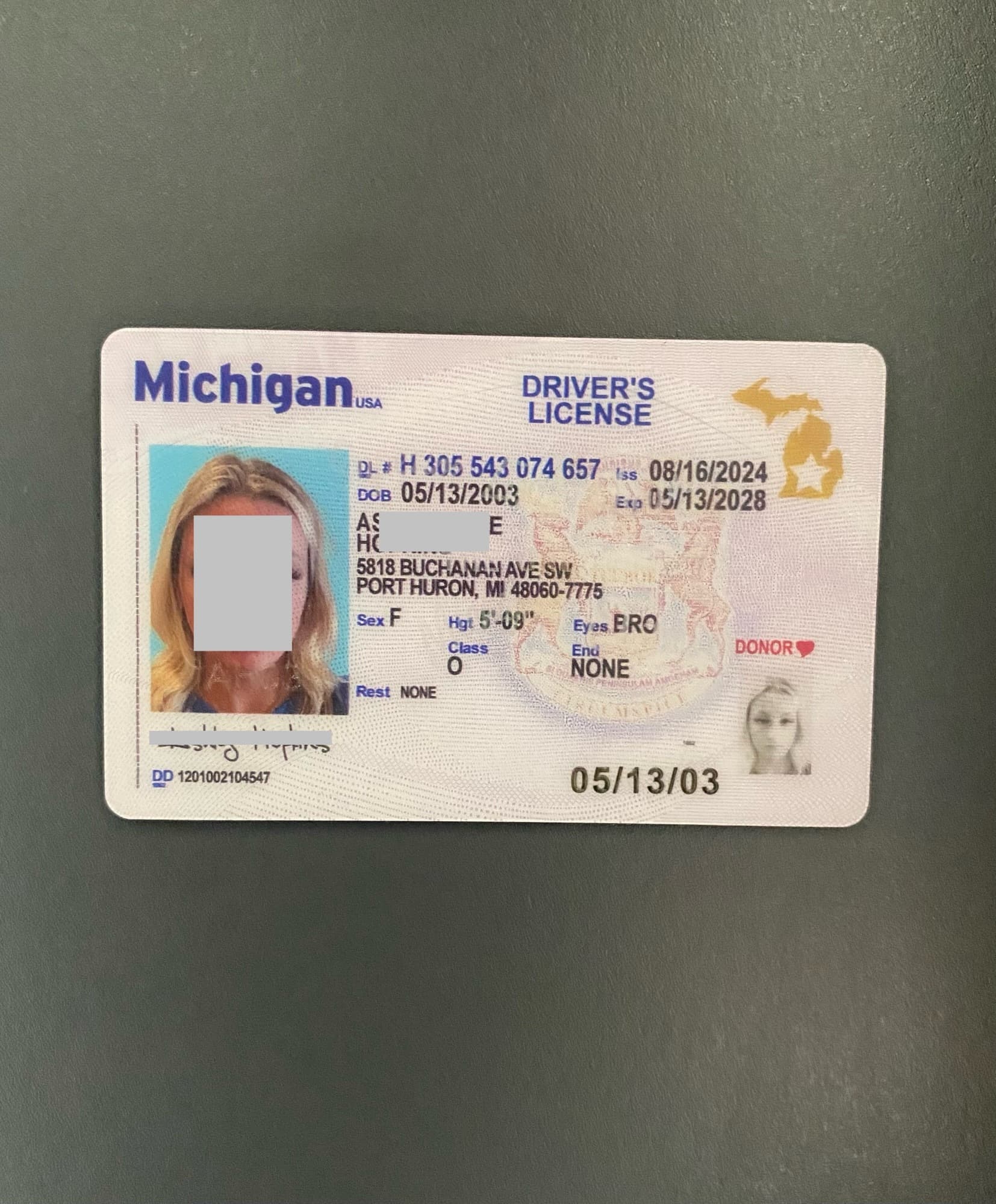 USA - MICHIGAN